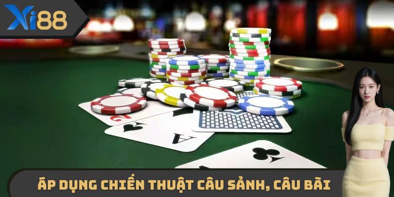 Áp dụng chiến thuật câu sảnh, câu bài
