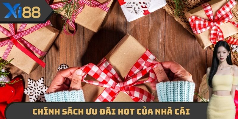 Chính sách ưu đãi hot của nhà cái