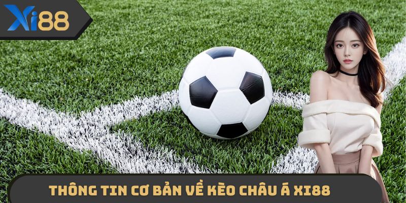 Thông tin cơ bản xoay quanh kèo châu Á XI88