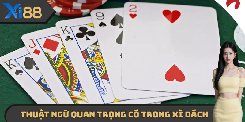 Những thuật ngữ quan trọng có trong xì dách XI88